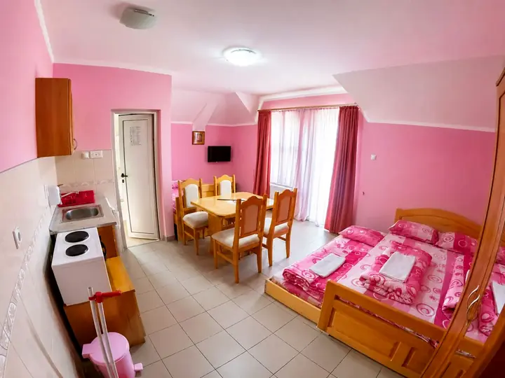 Vila Ivanović 1 - Apartman 4