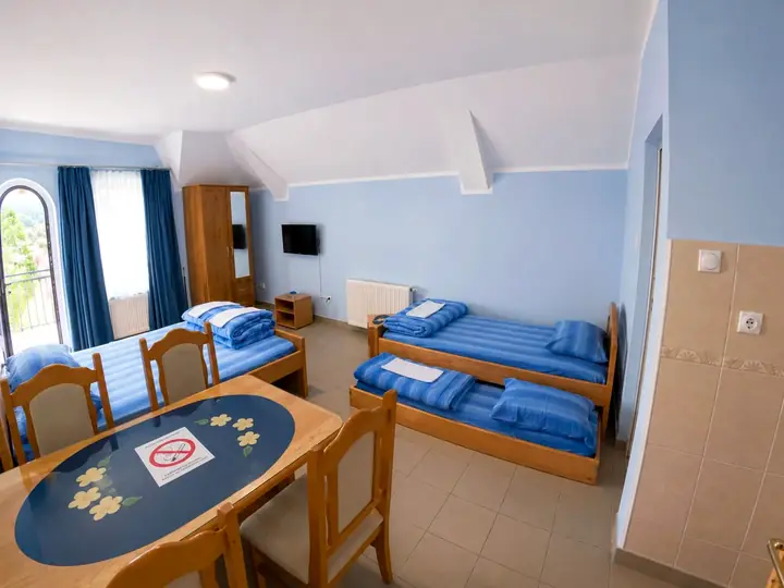 Vila Ivanović 1 - Apartman 8