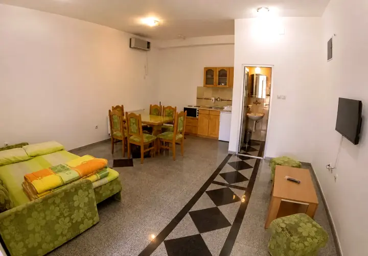 Vila Ivanović 1 - prostran studio