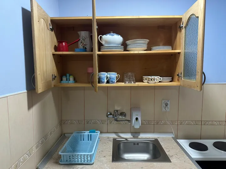 Vila Ivanović 1 - kuhinjski deo apartmana